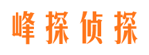 中原市侦探公司